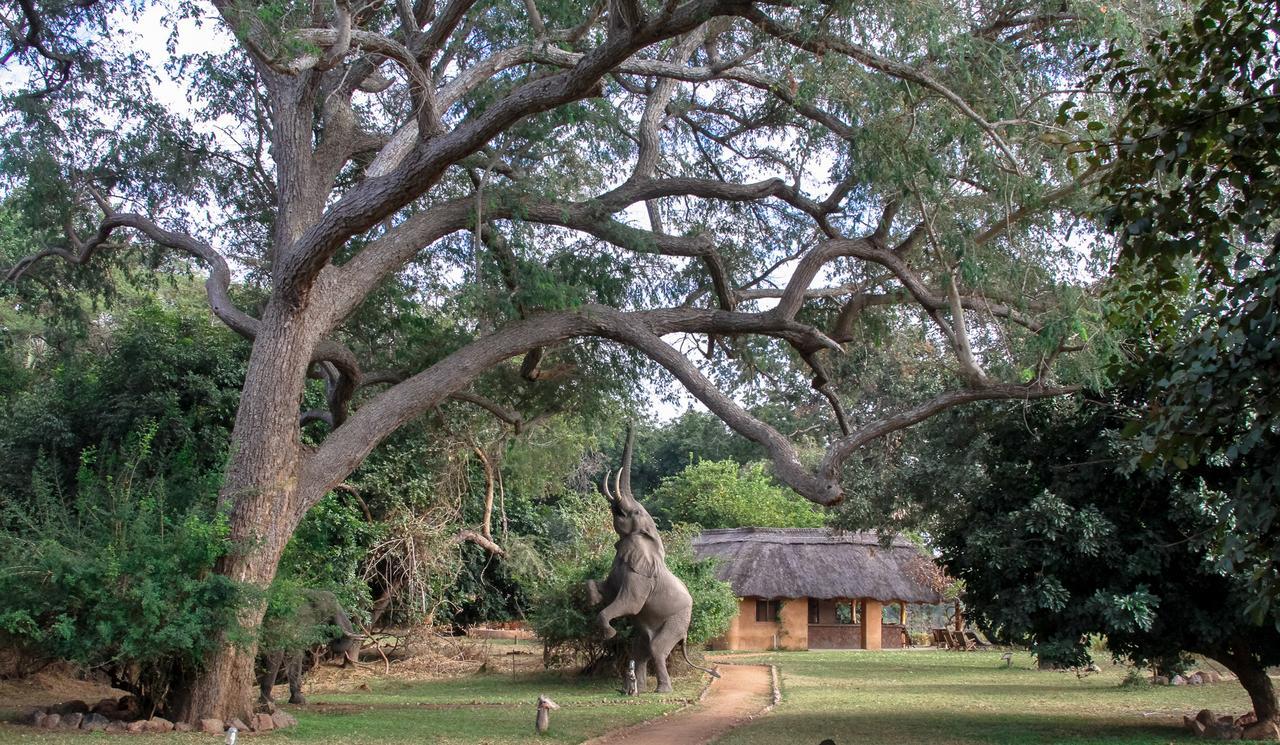 Track And Trail River Camp Kakumbi Ngoại thất bức ảnh