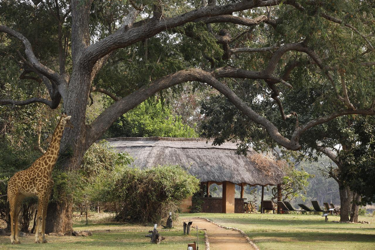 Track And Trail River Camp Kakumbi Ngoại thất bức ảnh