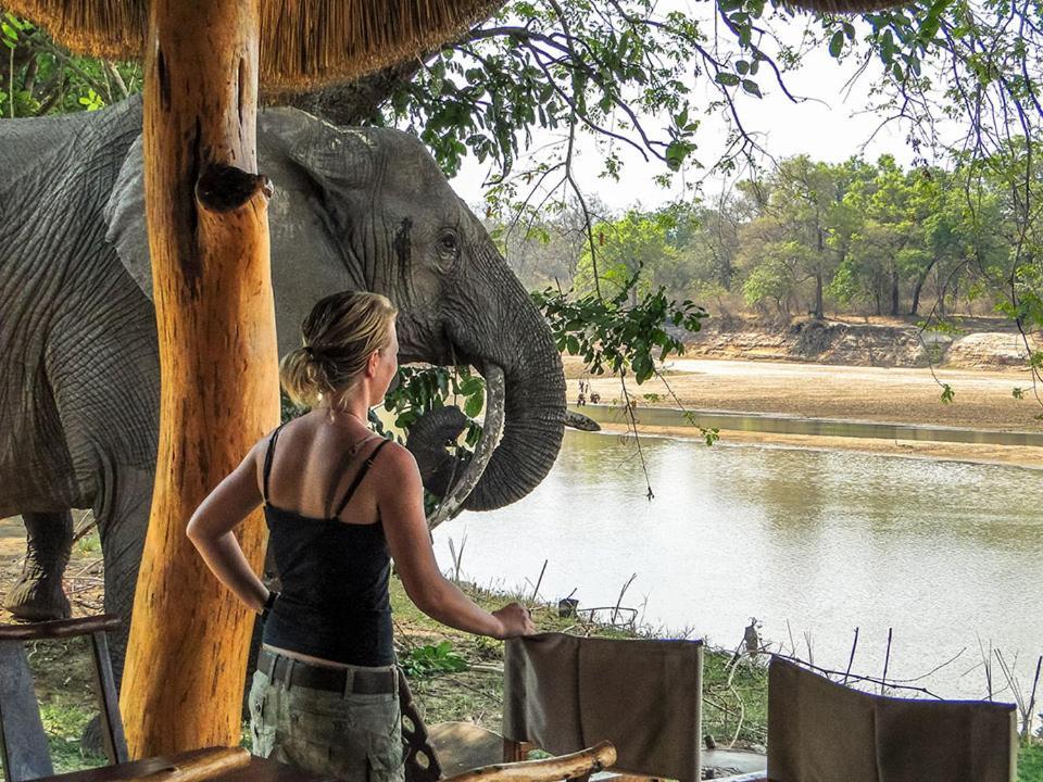 Track And Trail River Camp Kakumbi Ngoại thất bức ảnh