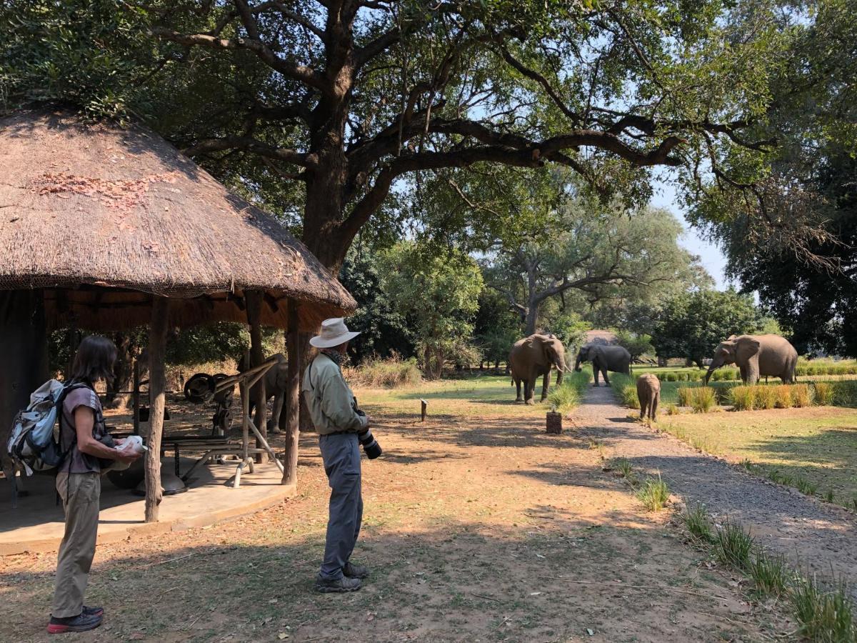 Track And Trail River Camp Kakumbi Ngoại thất bức ảnh